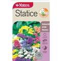 Statice Everlasting