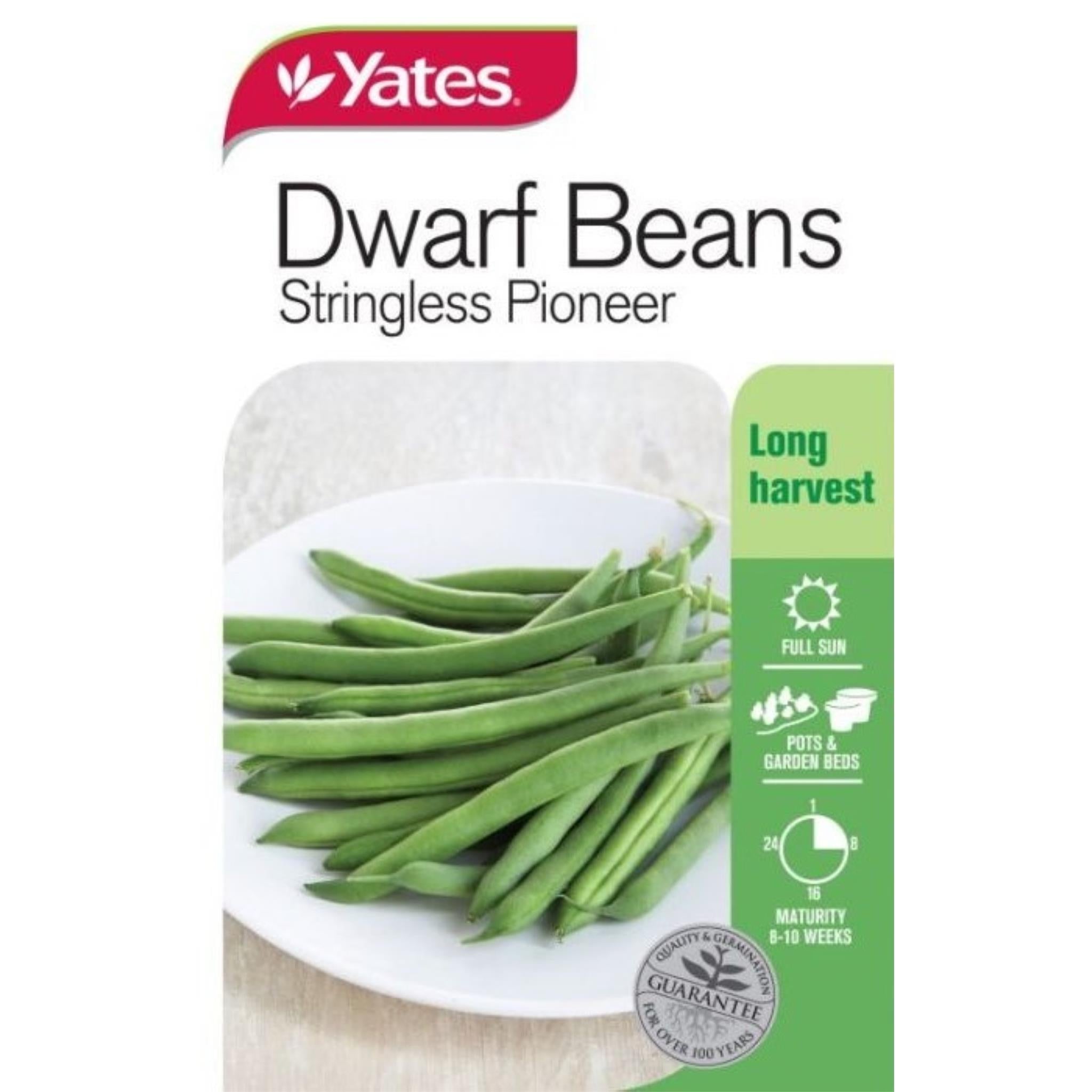 Snapbean Dwarf Stringless