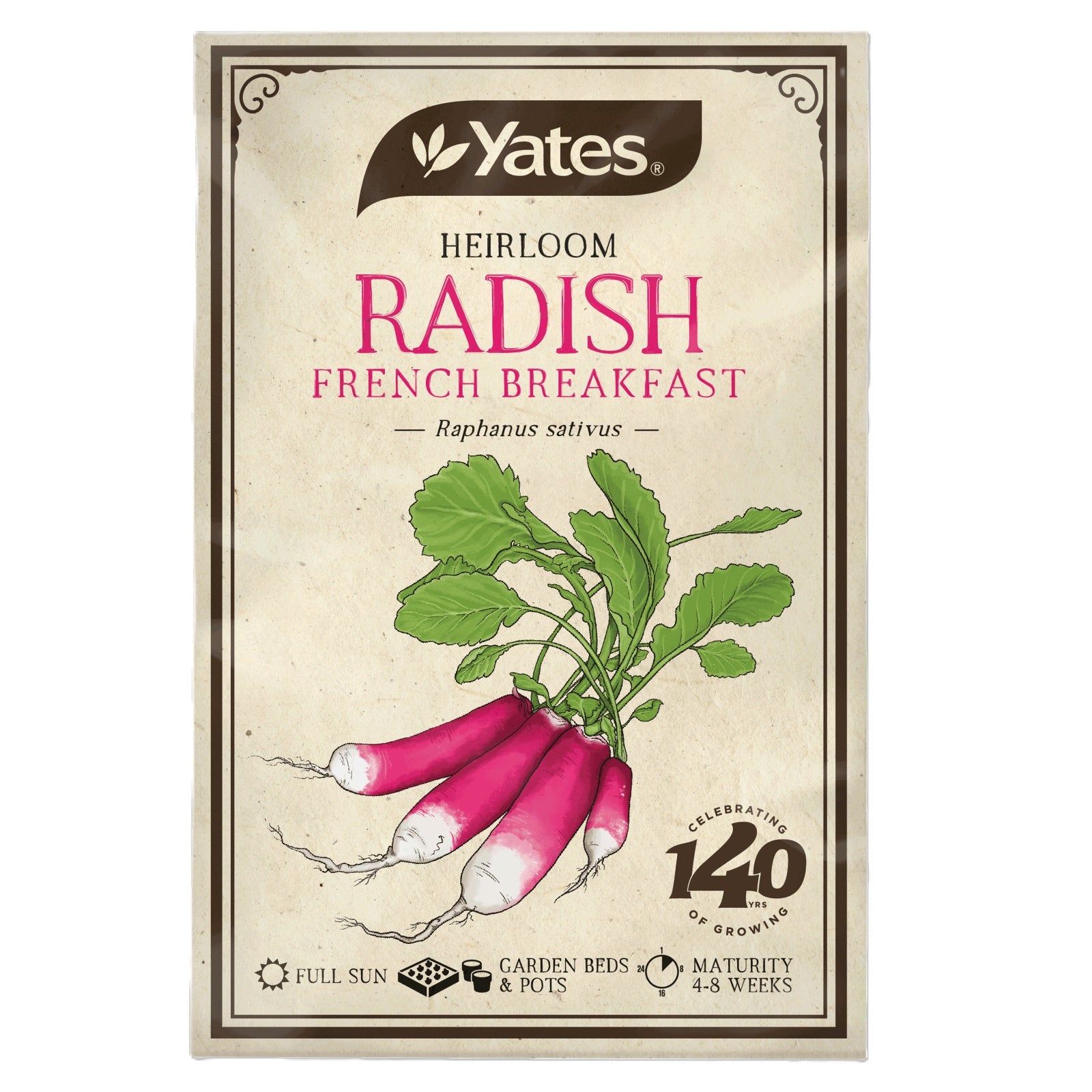 Heirloom Radish French Breakfast