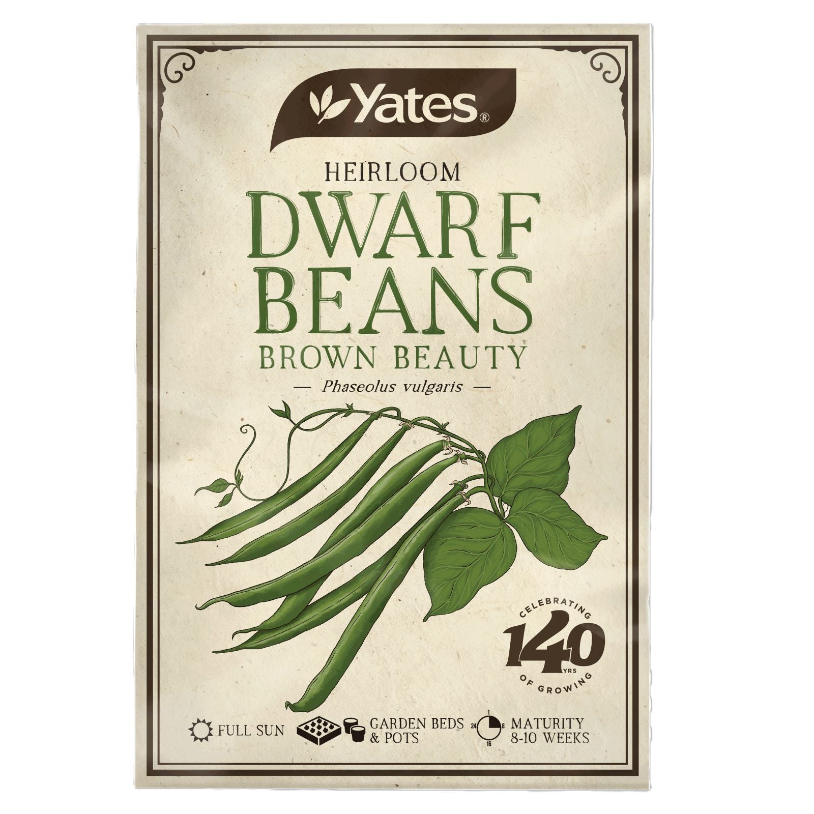 Heirloom Beans Dwarf Brown Beauty