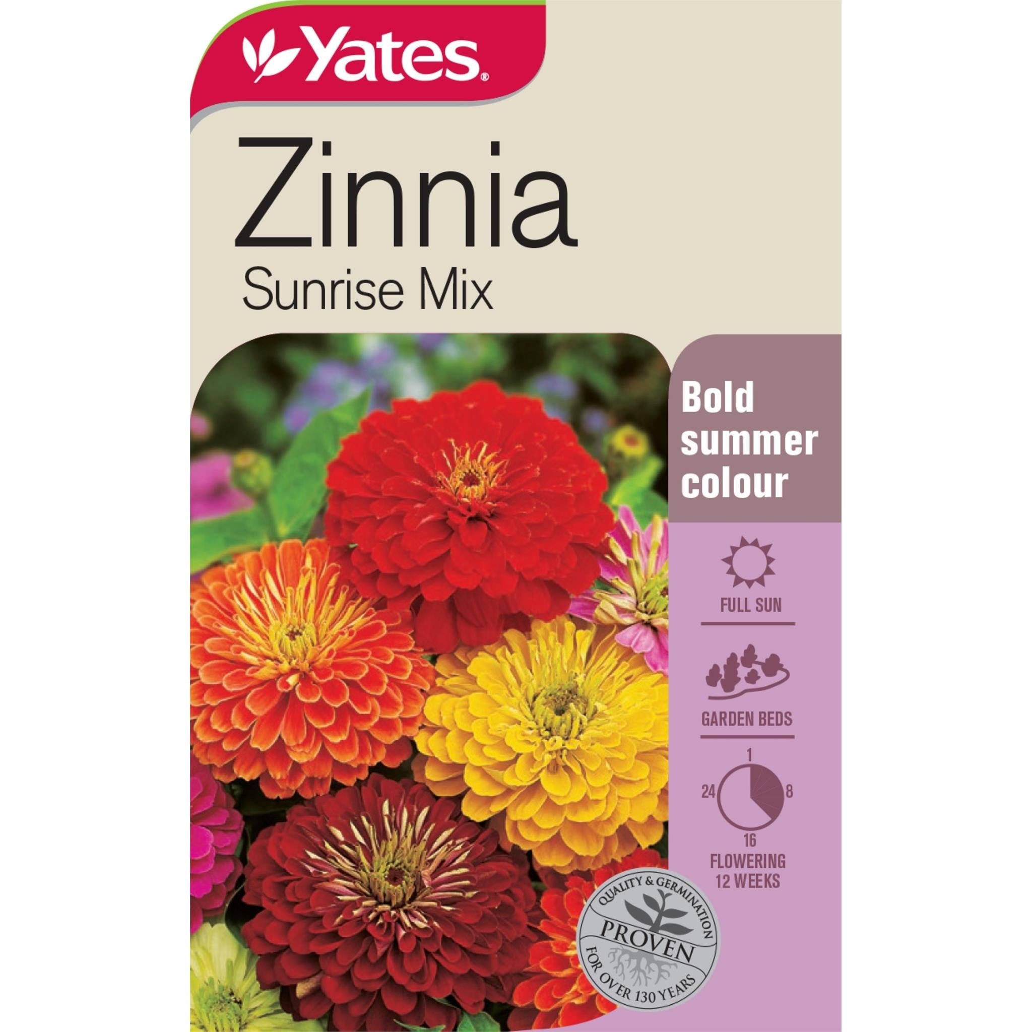 Zinnia Sunrise Mix