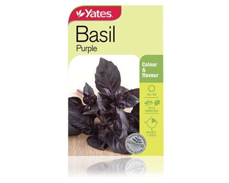 Basil Purple